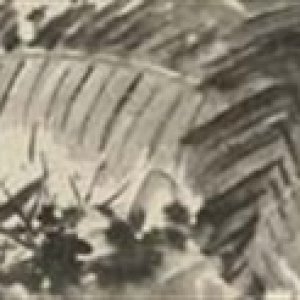 Media '[No title]' in album 'Xu Wei'