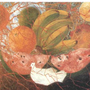 Fruit of Life
