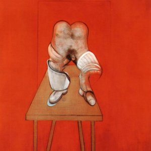 Study of the Human Body