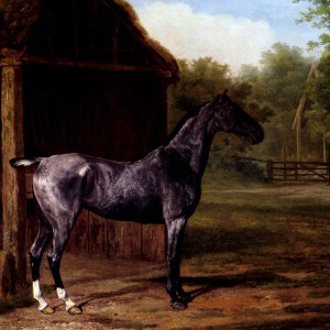 Lord Rivers Roan Mare In A Landscape