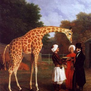 The Nubian Giraffe