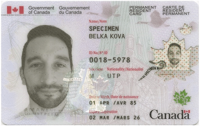 rushmynewpassport.com